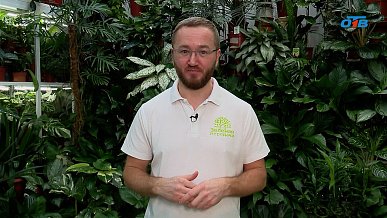 Тонкости посадки различных культур