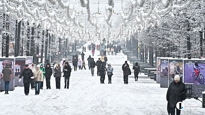 Работодатели Челябинской области стали реже нанимать сотрудников