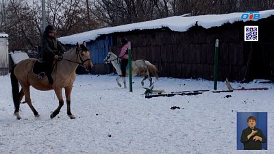 В Копейске готовят чемпионов конного спорта