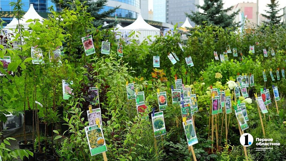 Южноуральский предприниматель торговал семенами овощей без документов