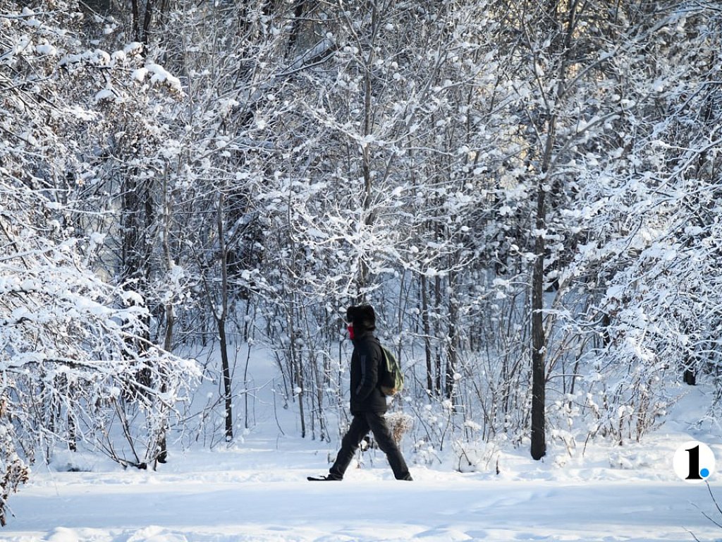 Крепкие морозы и слабый снег задержатся в Челябинской области 24 января