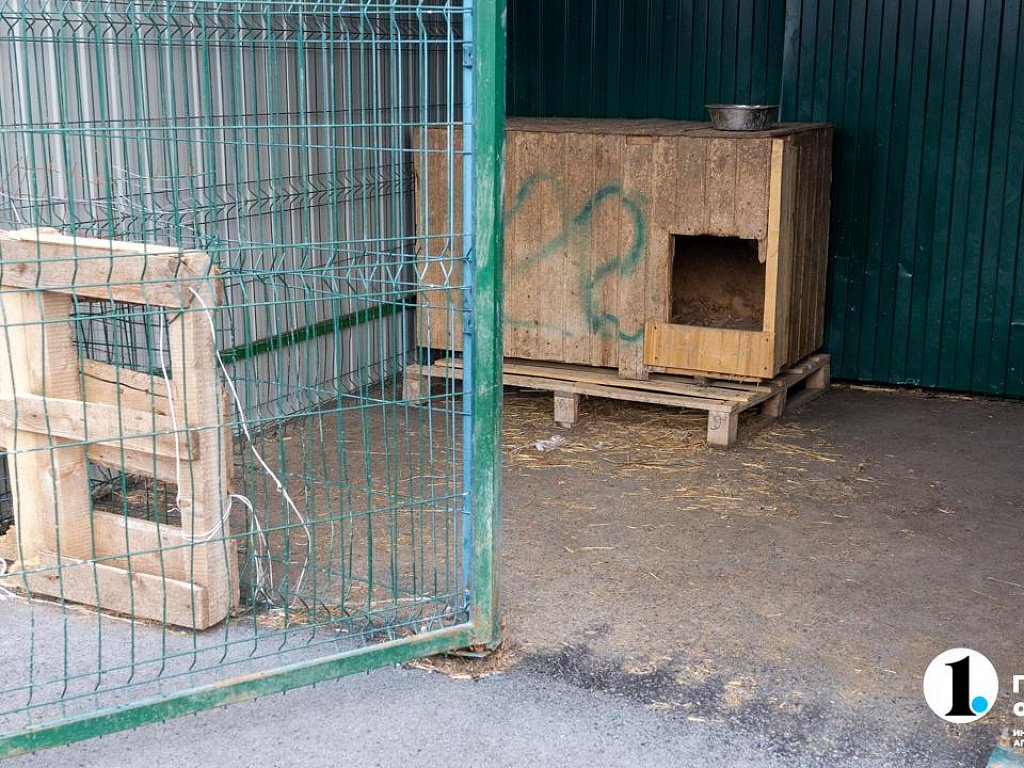 Челябинская пенсионерка переехала в приют для животных после отключения дома от тепла и воды