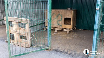Челябинская пенсионерка переехала в приют для животных после отключения дома от тепла и воды