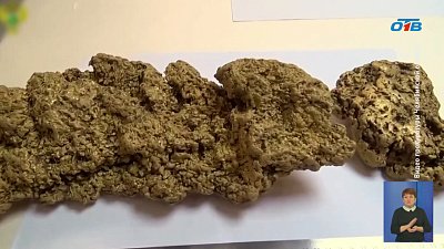 В Челябинской области добытчики золота обжаловали приговор