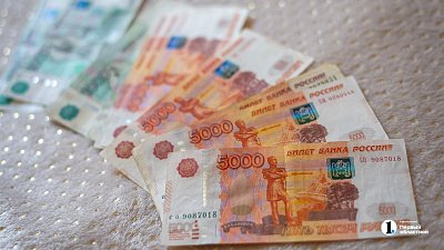 Челябинка получила более полумиллиона рублей на несуществующих детей