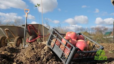 Как правильно высаживать растения