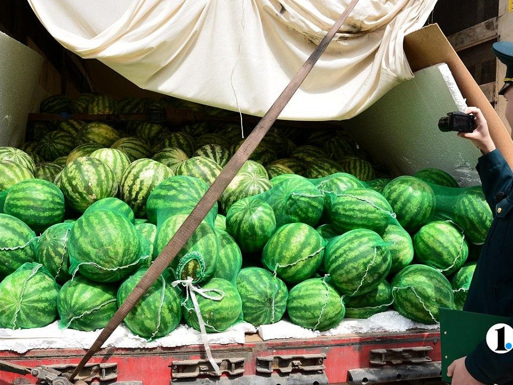 В Челябинскую область в 2025 году ввезли более 53 тысяч тонн овощей и фруктов