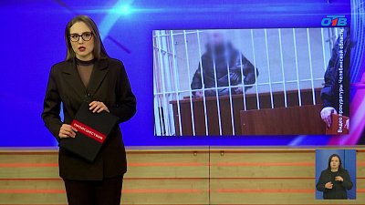 В Челябинской области отца отправили в СИЗО за смерть сына