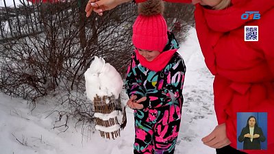 В Челябинской области продолжается акция «Синичка-74»