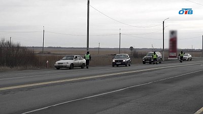 Пьяную автоледи поймали в Карталах