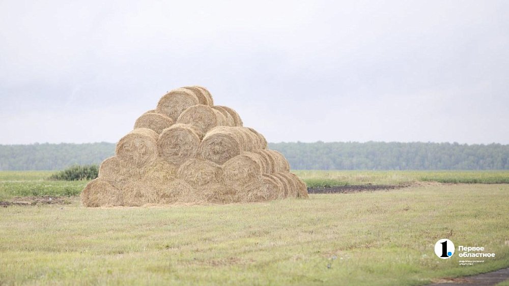 Красноармейский округ отмечает 85‑летие