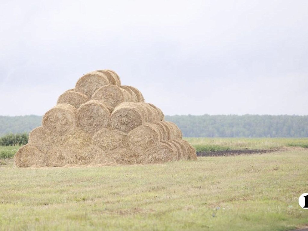 Красноармейский округ отмечает 85‑летие