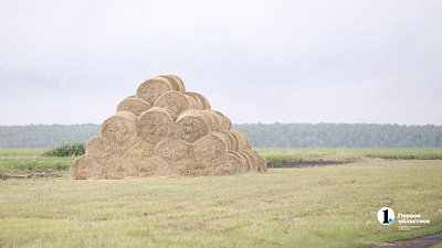 Красноармейский округ отмечает 85‑летие