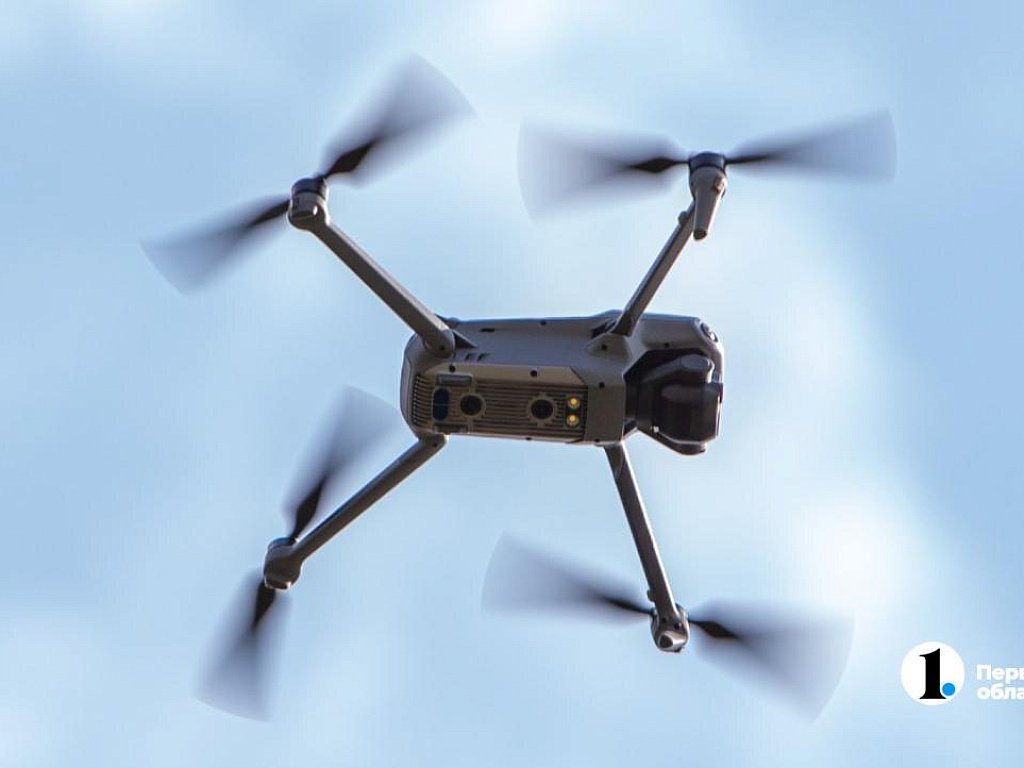 Ученые ЮУрГУ призывают ужесточить наказание за охоту с дронами