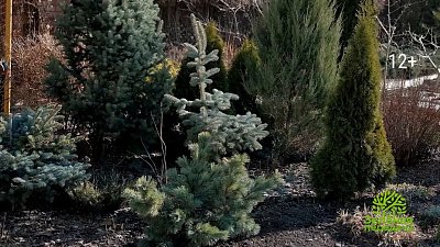 Садоводы Челябинской области получат ценные советы от экспертов ОТВ