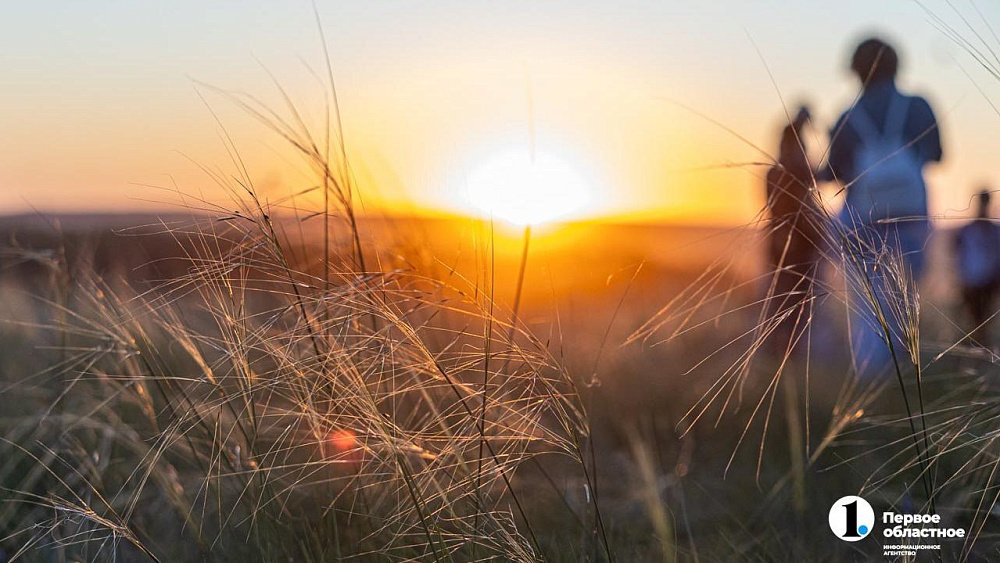 В Челябинской области изменили порядок перевода сельхозземель в другие категории