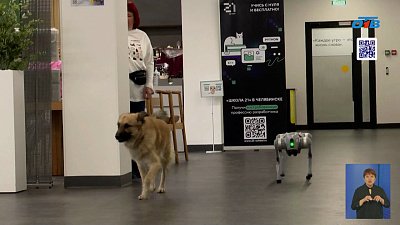 В Челябинске создали робопса