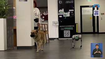 В Челябинске создали робопса