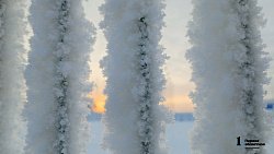 В погоне за полярным сиянием: южноуральцы открывают для себя Русский Север