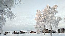 В погоне за полярным сиянием: южноуральцы открывают для себя Русский Север