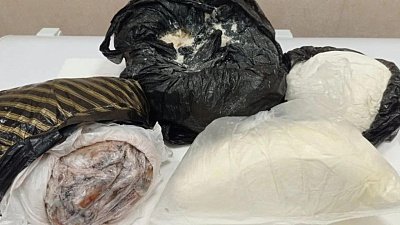 В аэропорту Челябинска изъяты незаконно ввезенные египетские креветки