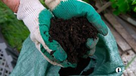 В Челябинской области в 2025 году вырос спрос на садово‑огородные и земляные работы