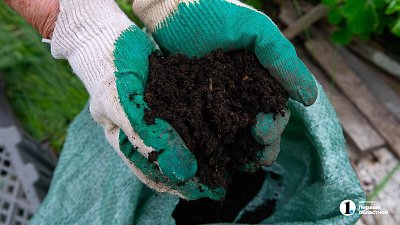 В Челябинской области в 2025 году вырос спрос на садово‑огородные и земляные работы