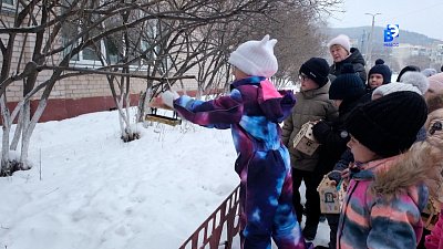Миасские школьники помогают птицам пережить зиму