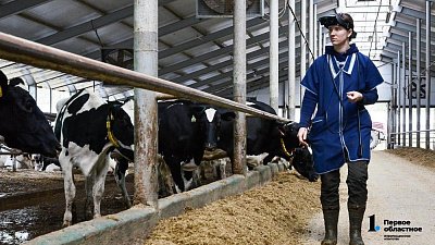 Южноуральские молочные хозяйства вышли на рекордно высокий уровень продуктивности