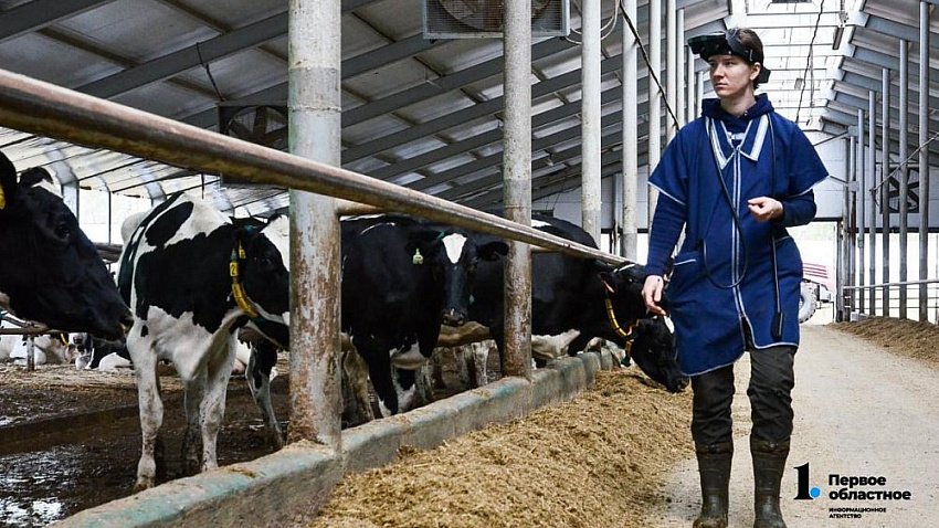 Южноуральские молочные хозяйства вышли на рекордно высокий уровень продуктивности