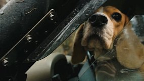 Команда авто-тревел шоу «Дикий Урал 2.0» путешествовала по Свердловской области