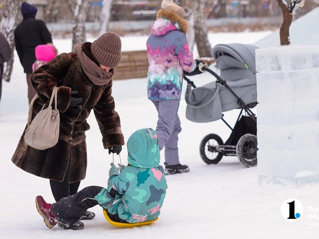 Соцфонд назвал самые популярные направления траты маткапитала в 2025 году
