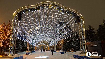 Крепкие морозы задержатся на юге Челябинской области ночью 6 февраля