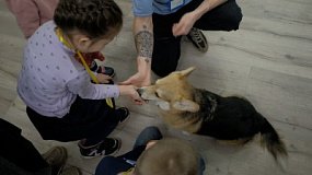 В Челябинске дети участников СВО занимаются с собаками-терапевтами