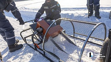 Южноуральские спасатели применяют новейшую технику для распила льда