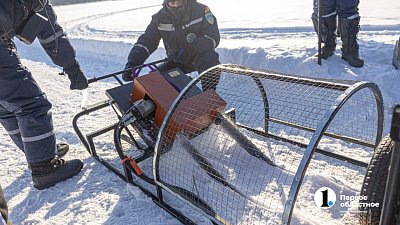 Южноуральские спасатели применяют новейшую технику для распила льда