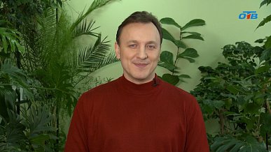 Почему готовить землю для рассады нужно уже сейчас