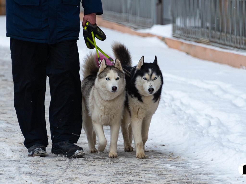 В Челябинской области резко потеплеет после морозной ночи 7 февраля