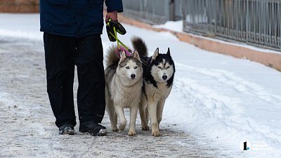 В Челябинской области резко потеплеет после морозной ночи 7 февраля