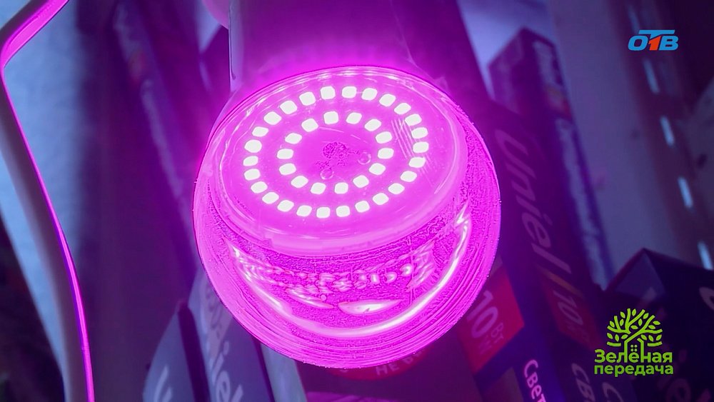 Какие лампы стоит использовать для досвечивания растений