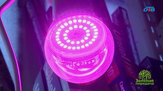 Какие лампы стоит использовать для досвечивания растений