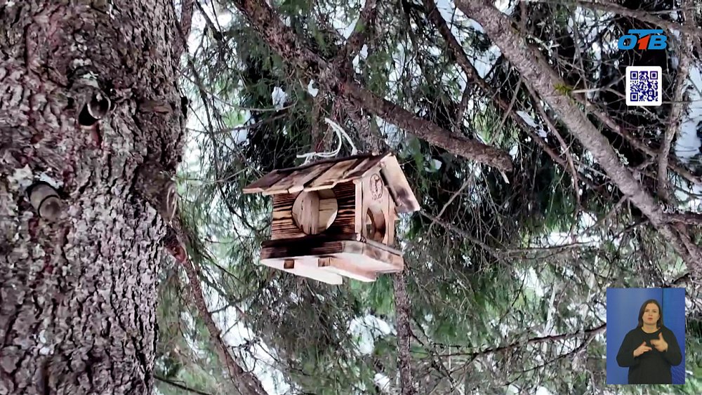 На Таганае волонтеры установили новые кормушки