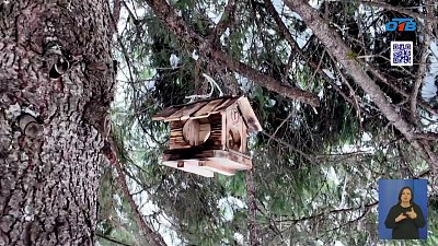 На Таганае волонтеры установили новые кормушки