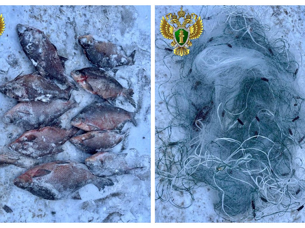 Миасца осудят за незаконную рыбалку на Аргазинском водохранилище