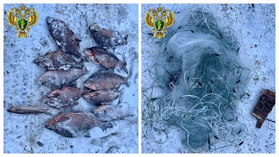 Миасца осудят за незаконную рыбалку на Аргазинском водохранилище