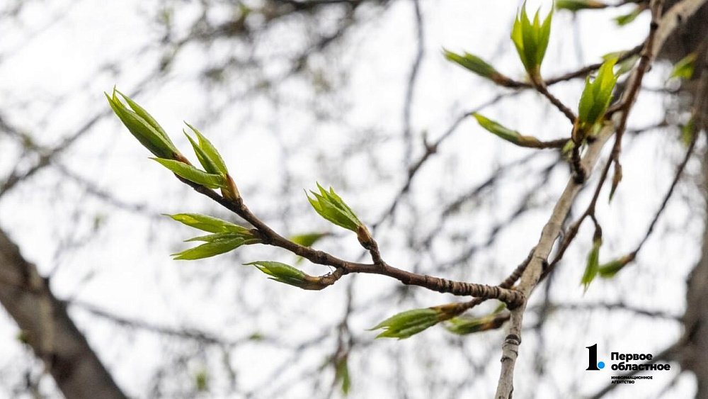 Весна-2026 на Южном Урале будет сухой и аномально теплой