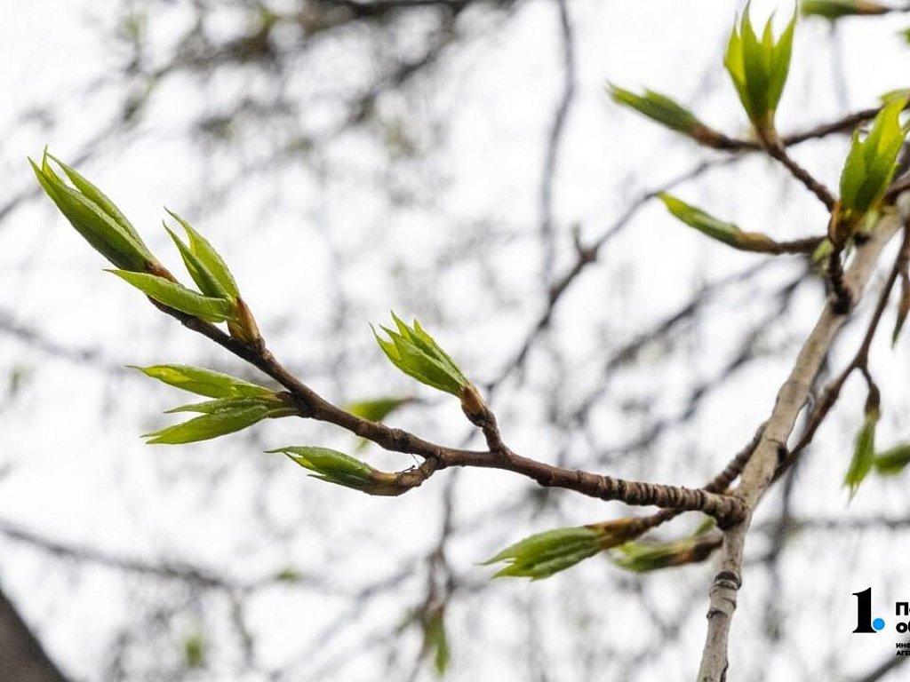 Весна-2026 на Южном Урале будет сухой и аномально теплой