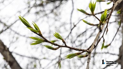 Весна-2026 на Южном Урале будет сухой и аномально теплой