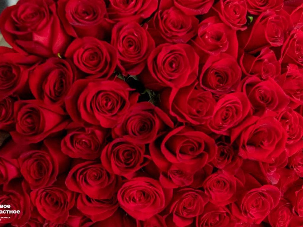 Челябинцы планируют потратить 6 тысяч на подарки ко Дню влюбленных