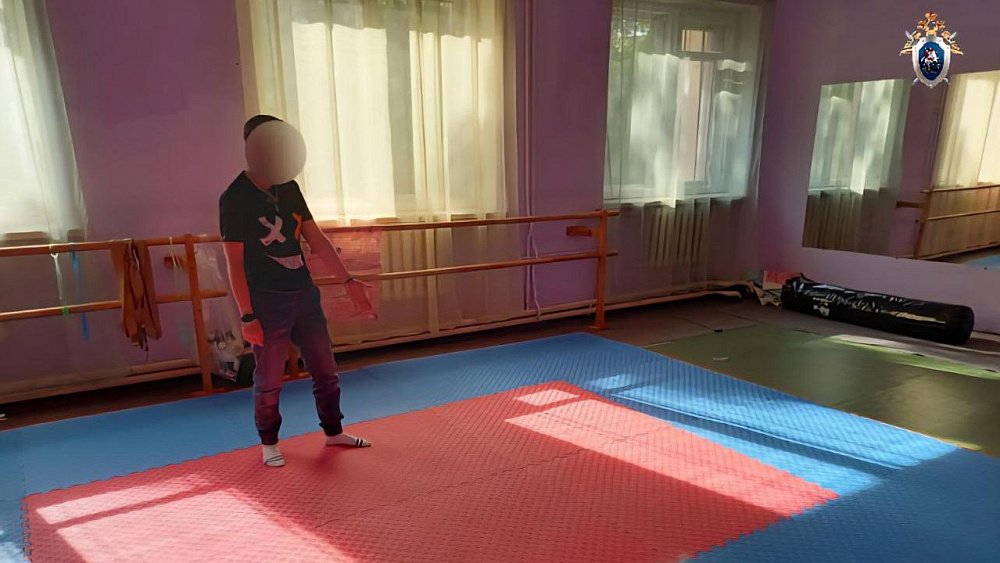 Тренер по карате из Челябинска получила 2,5 года колонии за травму 8-летнего ученика